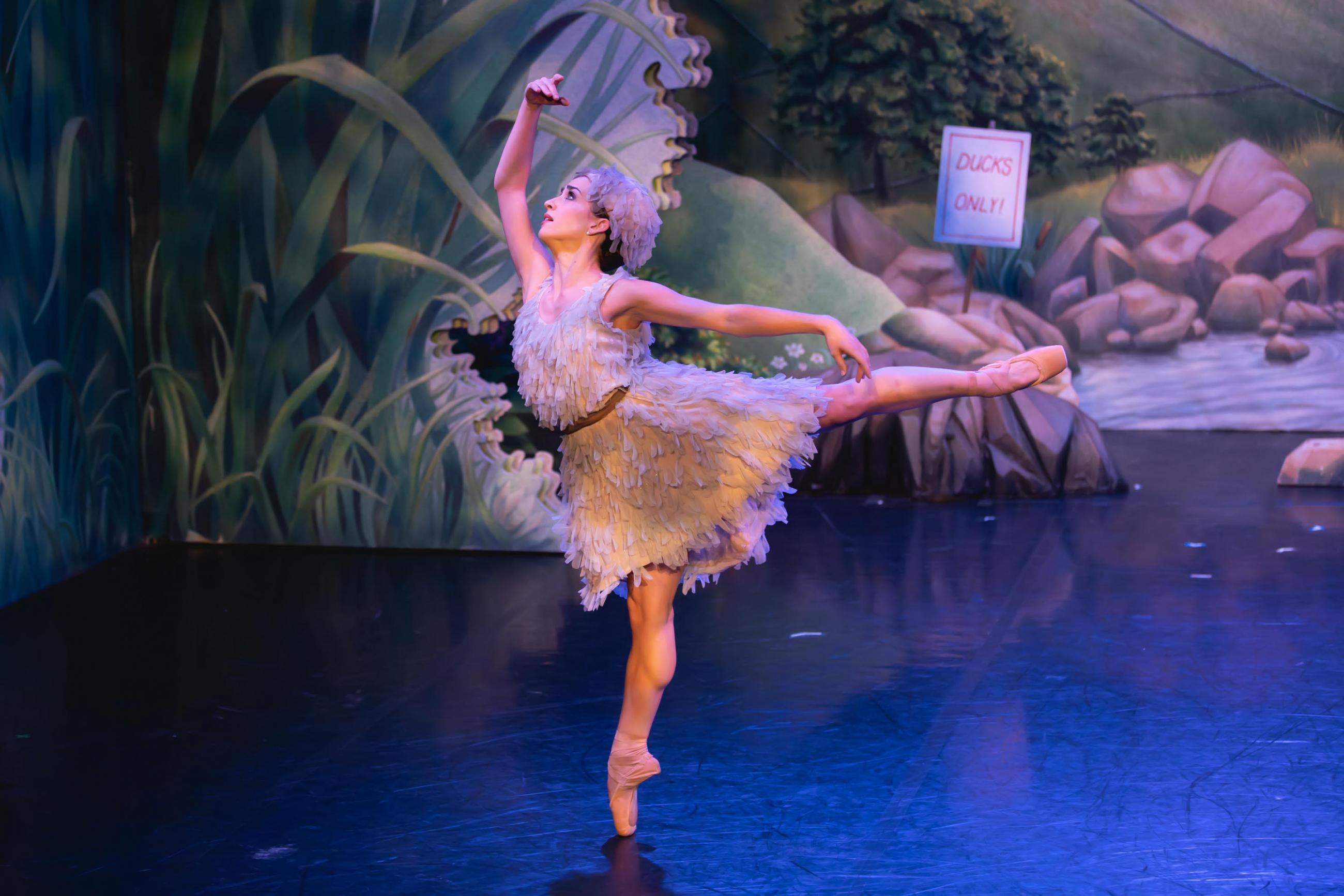 A dancer dressed in a grey dress in a ballet pose