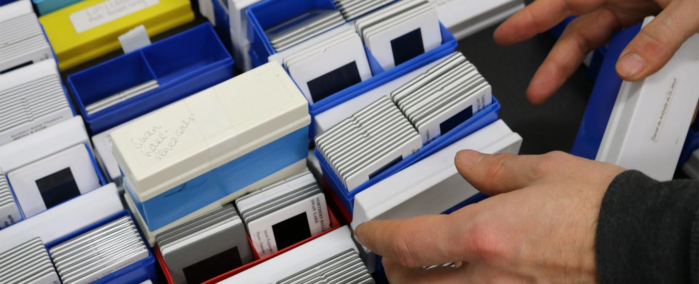 Two hands preparing the 5000+ photographic slides for sorting and digitisation