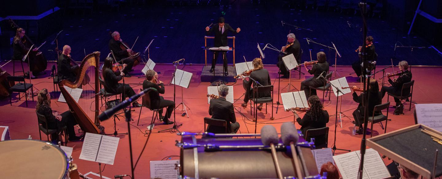 The Sinfonia performing at Leeds Town Hall, photo Amy Kelly